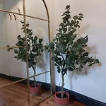 Le Patio - Cinelodge Avec Jardin Σπίτι διακοπών *
