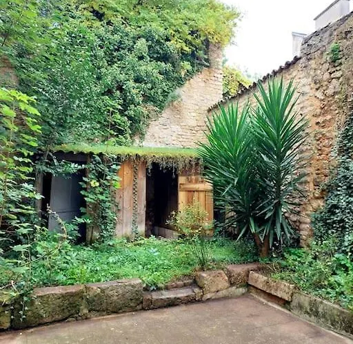 Le Patio - Cinelodge Avec Jardin Poitiers